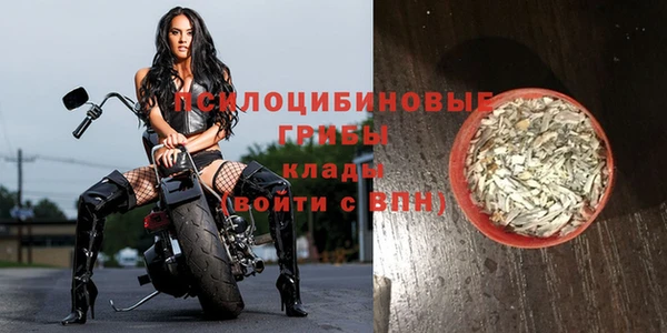 прущий лед Арсеньев
