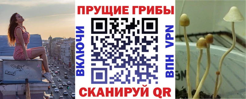Псилоцибиновые грибы GOLDEN TEACHER  Купить где  Симферополь 